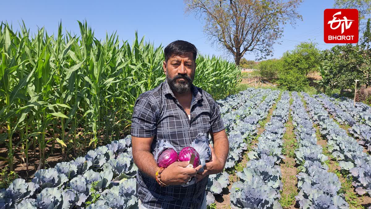 FOREIGN VEGETABLES IN BULDHANA