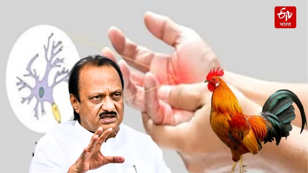 Ajit Pawar