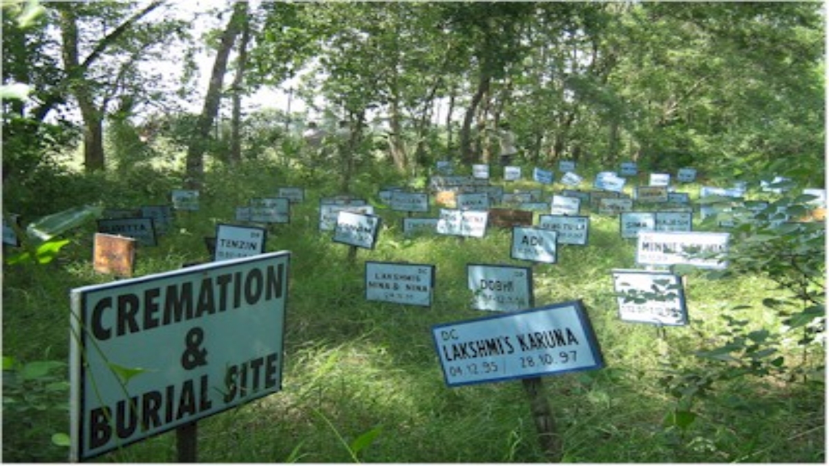 dog cemetery IN GAYA