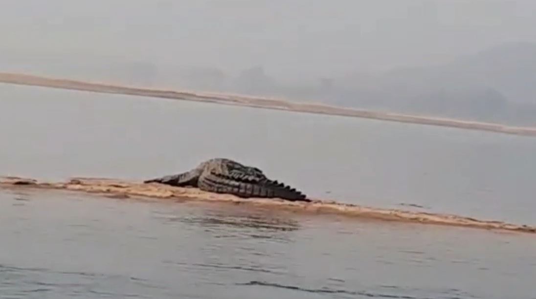 HELICOPTER FLIES OVER SATKOSIA