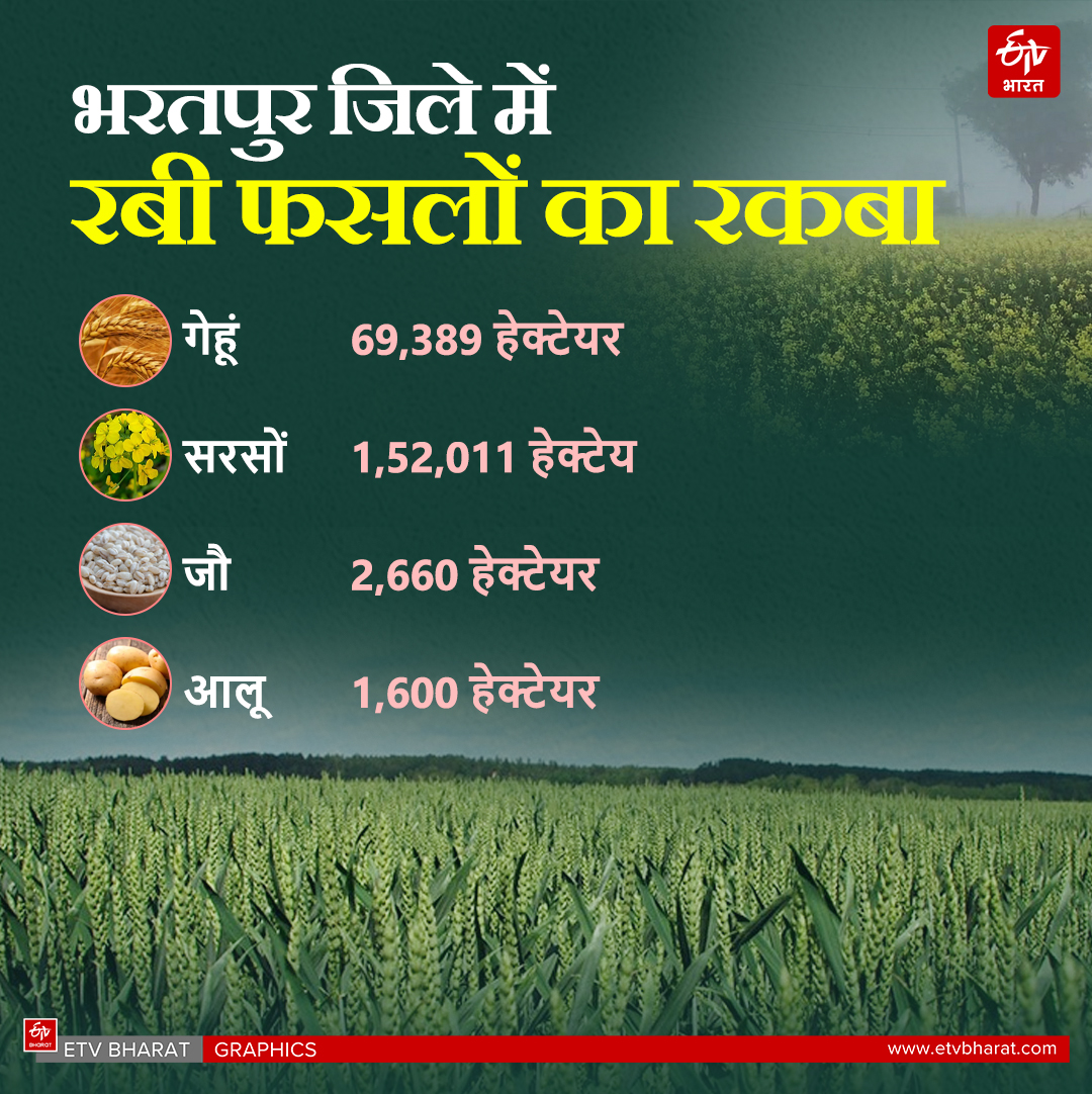 Total area of sowing in Bharatpur division