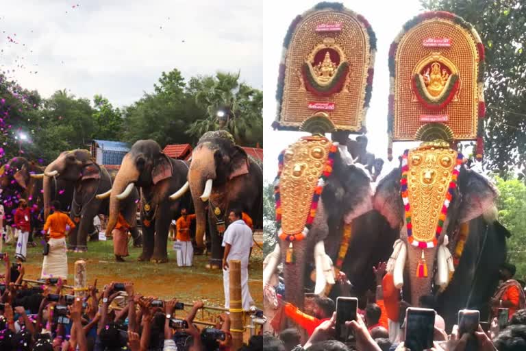 ROBOTIC ELEPHANTS  TEMPLE FESTIVALS  POORAMS  ELEPHANT KILLINGS DURING FESTIVALS