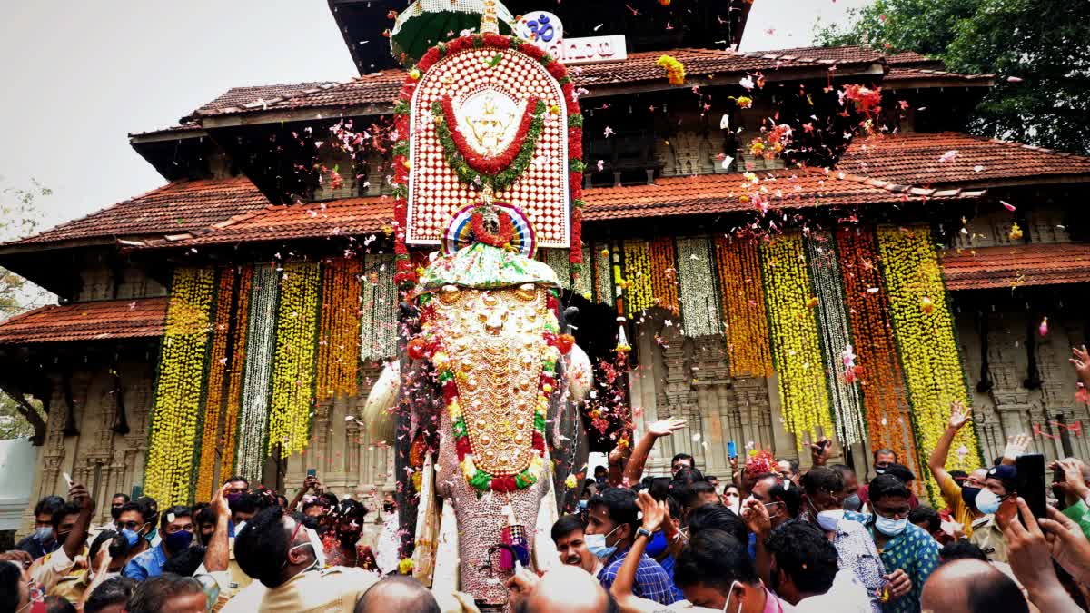 ROBOTIC ELEPHANTS  TEMPLE FESTIVALS  POORAMS  ELEPHANT KILLINGS DURING FESTIVALS