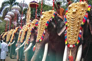 CAPTIVE ELEPHANT  ELEPHANT  ആന എഴുന്നള്ളത്ത്  LATEST NEWS