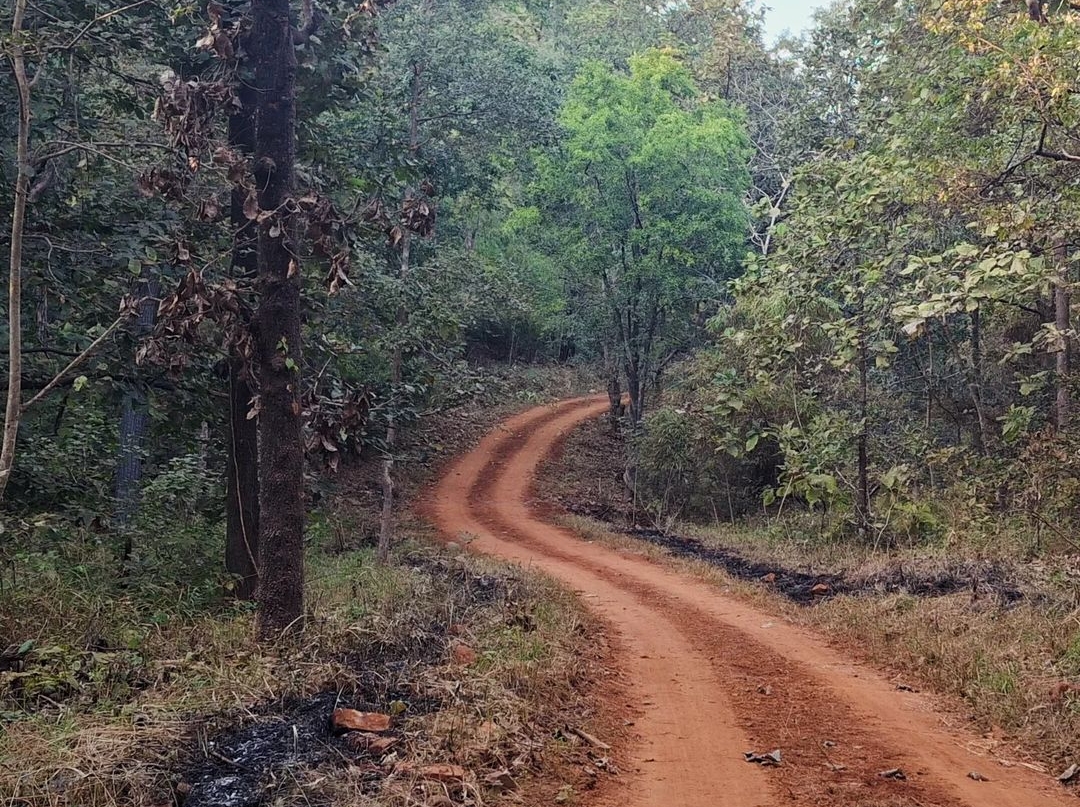 Ratapani Tiger Reserve fact