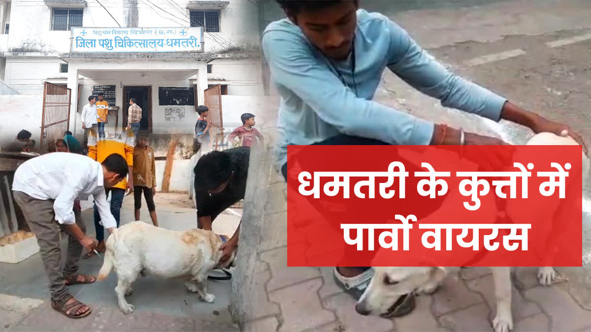 Parvo virus spread in Dhamtari dogs