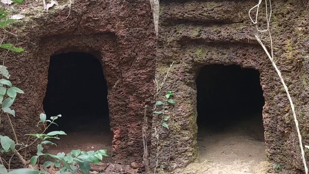 Ruins Discovered In Kuttiattoor  different types of ruins  archeology  Caves Caves discovered in Kannur