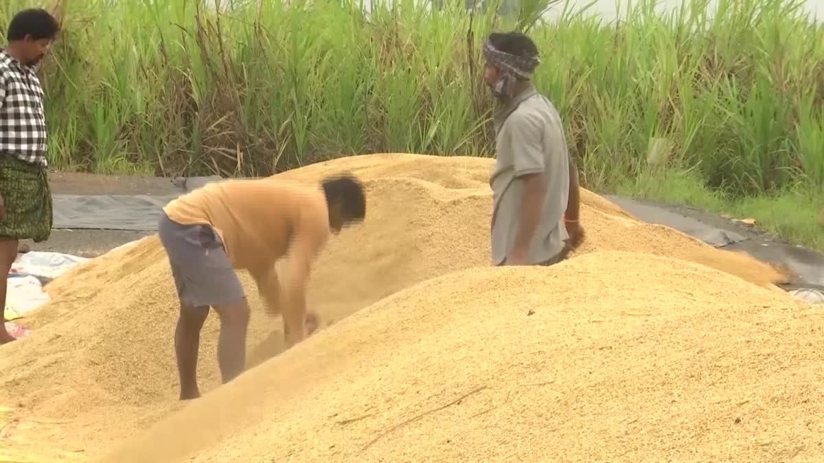 Gov_No_Payment_To_Paddy_Farmers_Money_at_mailavaram