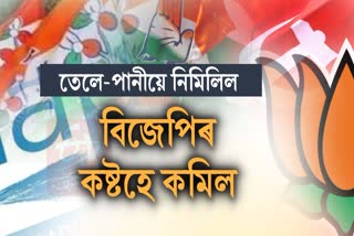 Lok Sabha Election Assam