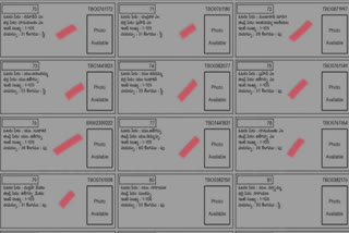 Single Digit House Name Votes in Voter List