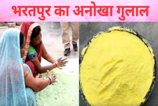Bharatpur Herbal Gulal