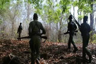 Two Naxalites killed in Bijapur