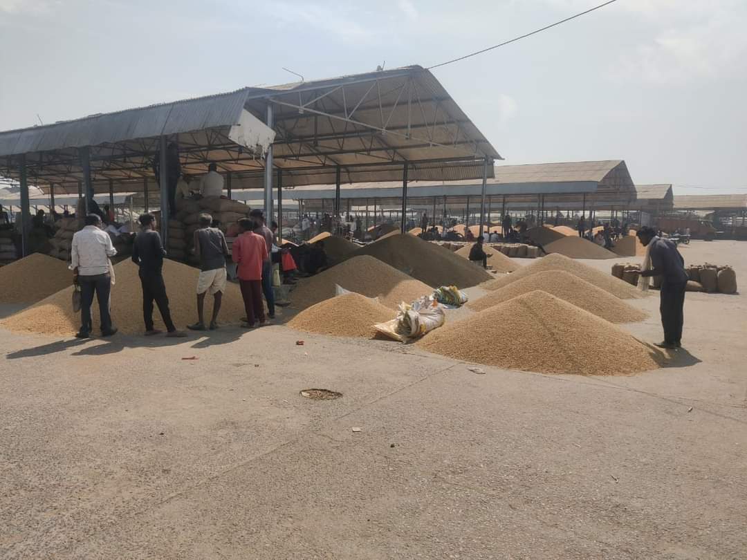 mp farmers selling wheat in mandi