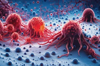 What Foods Produce Cancer