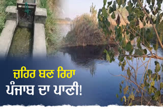 Punjab Water ICMR Report