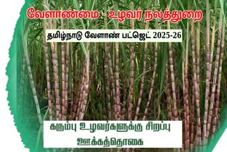 கரும்பு