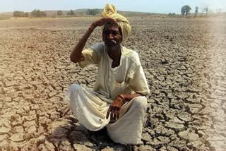 8 farmers are dying every day in the Maharashtra