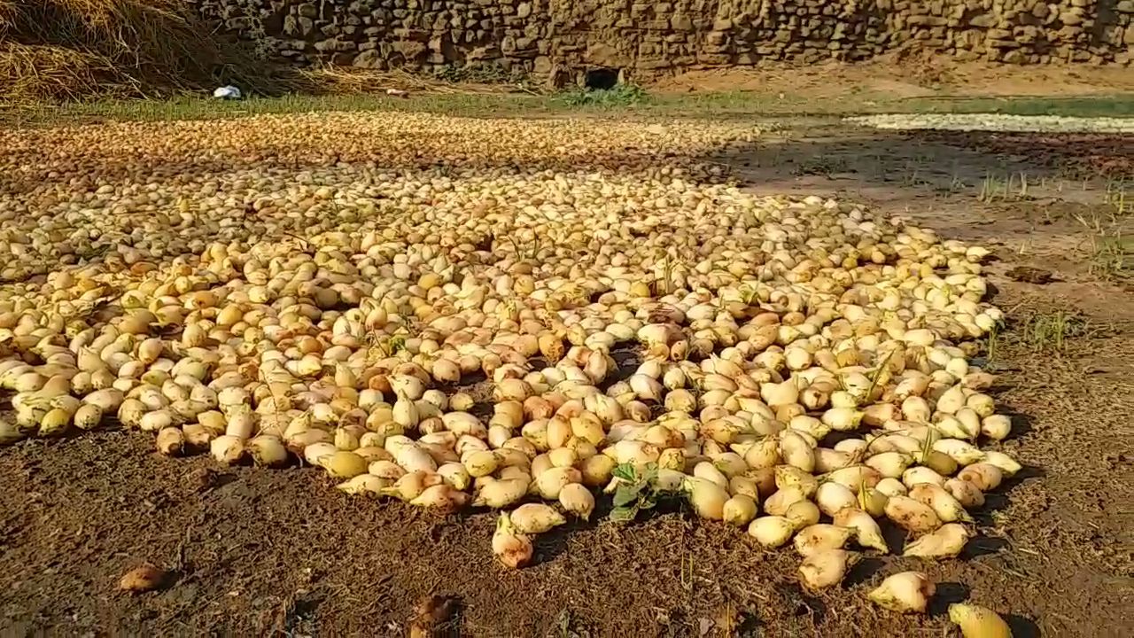 shahdol tribals mahua