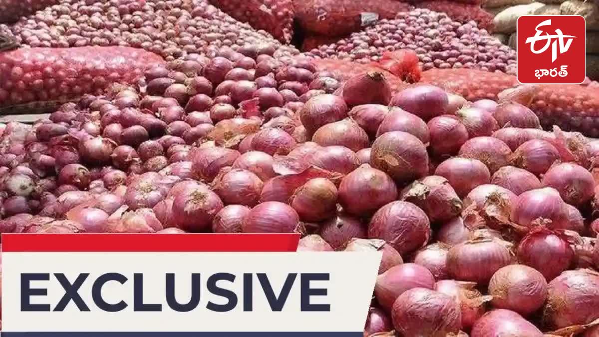 93 New Species Of Onion Seeds Developed In UP Kanpur