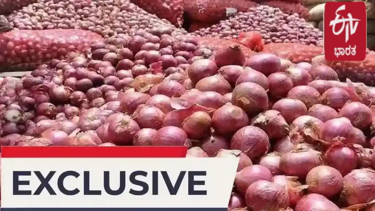 new varieties of onion seeds developed by scientists of csa up kanpur university