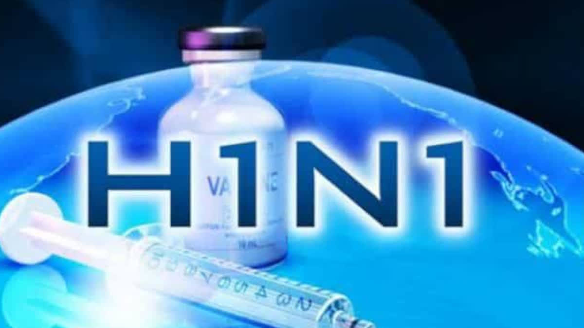 Swine flu wreaks havoc in the Rajasthan