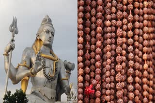 Rudraksha Benefits In Telugu