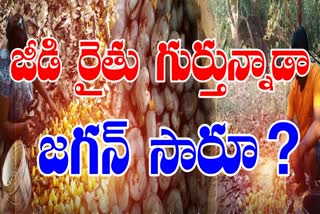 Cashew_Farmers_Problems_in_AP