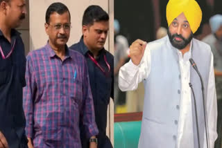 cm bhagwant mann meet arvind kejriwal in tihar jail