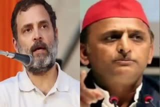 Rahul Gandhi Akhilesh Yadav to pitch for INDIA bloc April 17.