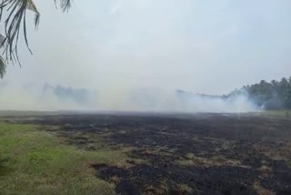 വയലിൽ തീപിടുത്തം  നന്മണ്ട തീപിടുത്തം  FIRE AT NANMANDA  CROPS DAMAGED AT NANMANDA