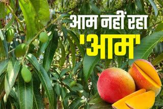 MANGO PRICE HIKE