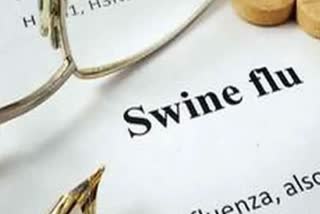 Rajasthan: 12 Dies of Swine Flu, 945 Cases Recorded Since Jan