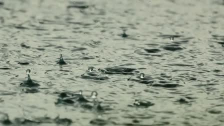 rain in Chhattisgarh