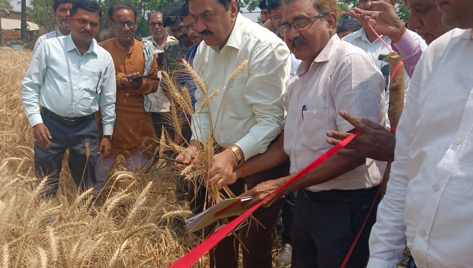 गोपालगंज में अधिकारियों को साथ गेहूं के खेत में पहुंचे डीएम