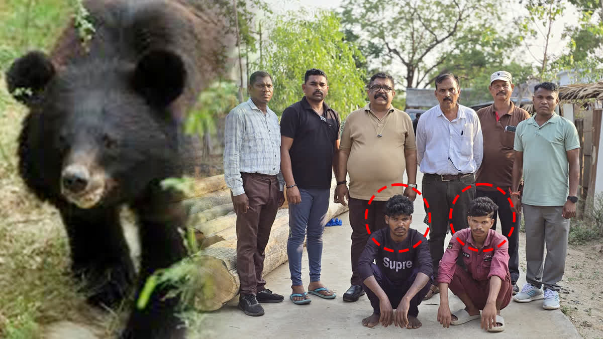 MAN ARRESTED FOR BEATING BEAR