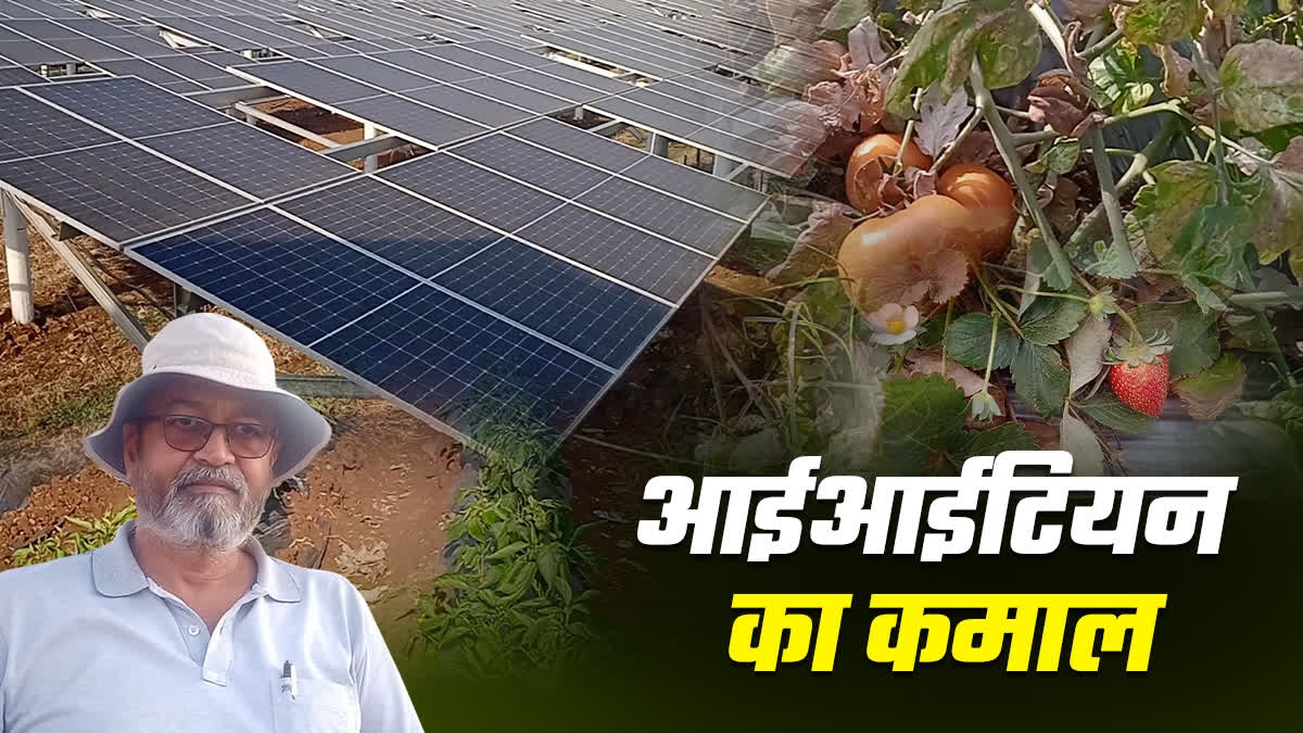 AGRI VOLTAIC SOLAR PLANT IN SAGAR