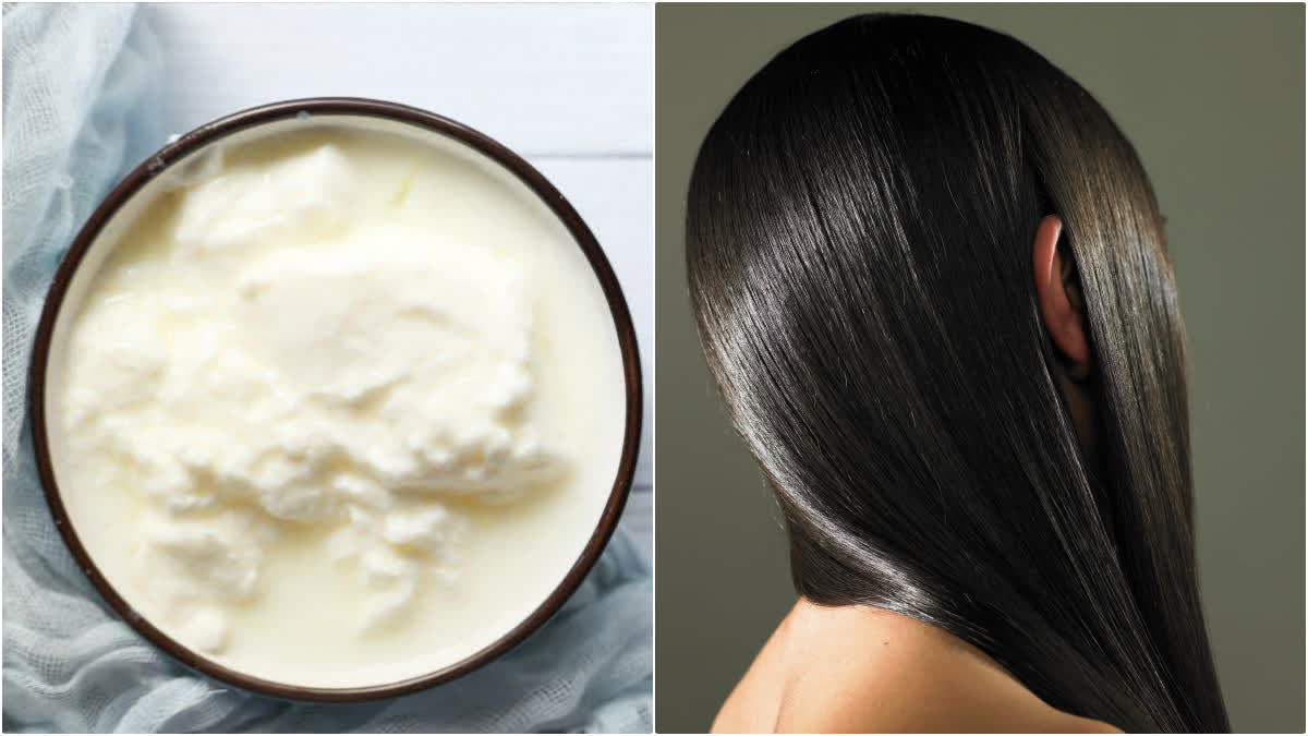 YOGURT FOR HAIR