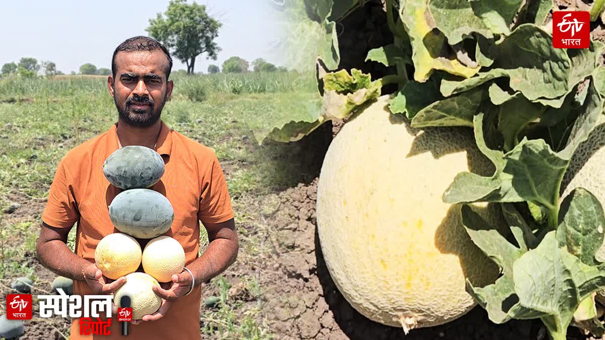Shirdi Young Farmer Pratik Dhumal
