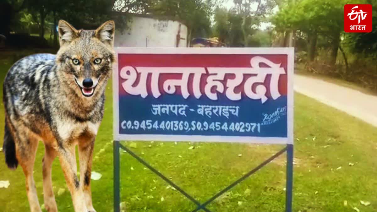 ETV Bharat