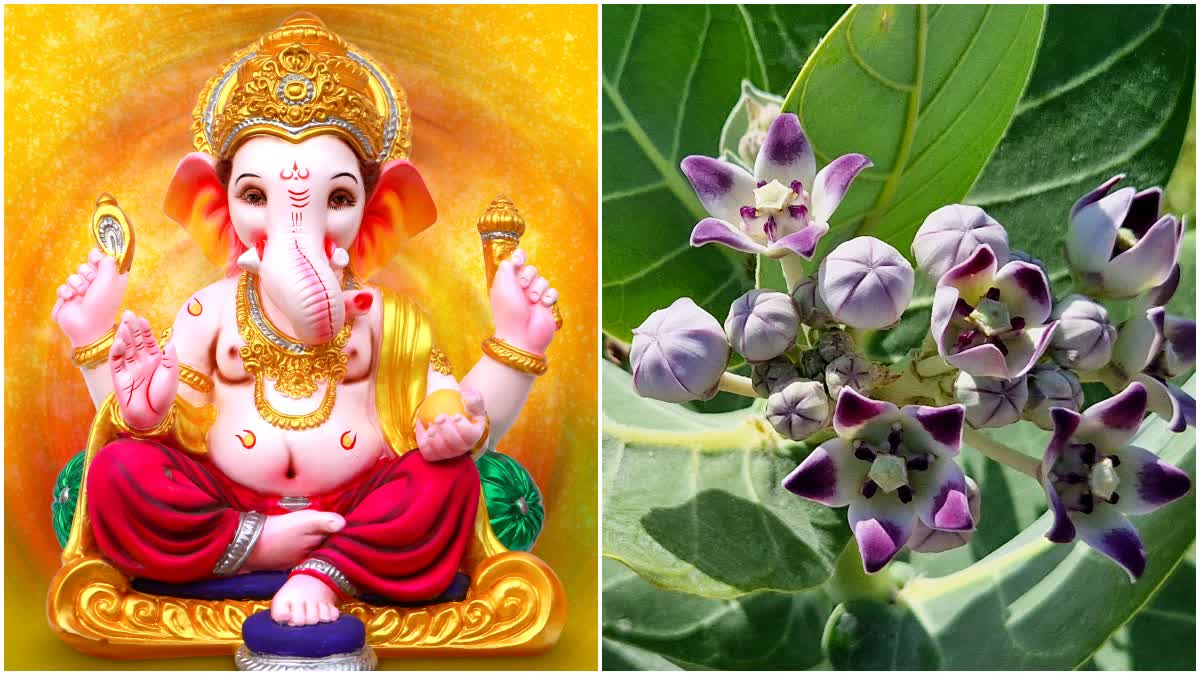 Sankashtahara Chaturthi 2025 in Telugu