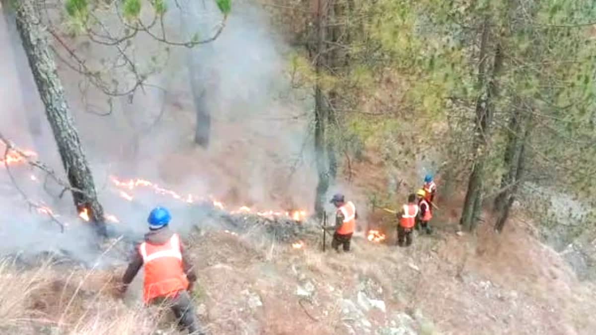 Uttarakhand Forest Fire