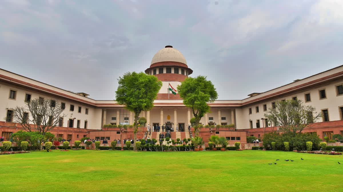 ‘State Has To Be Fair': SC Pulls Up Delhi, UP Govts Over Delay In ...