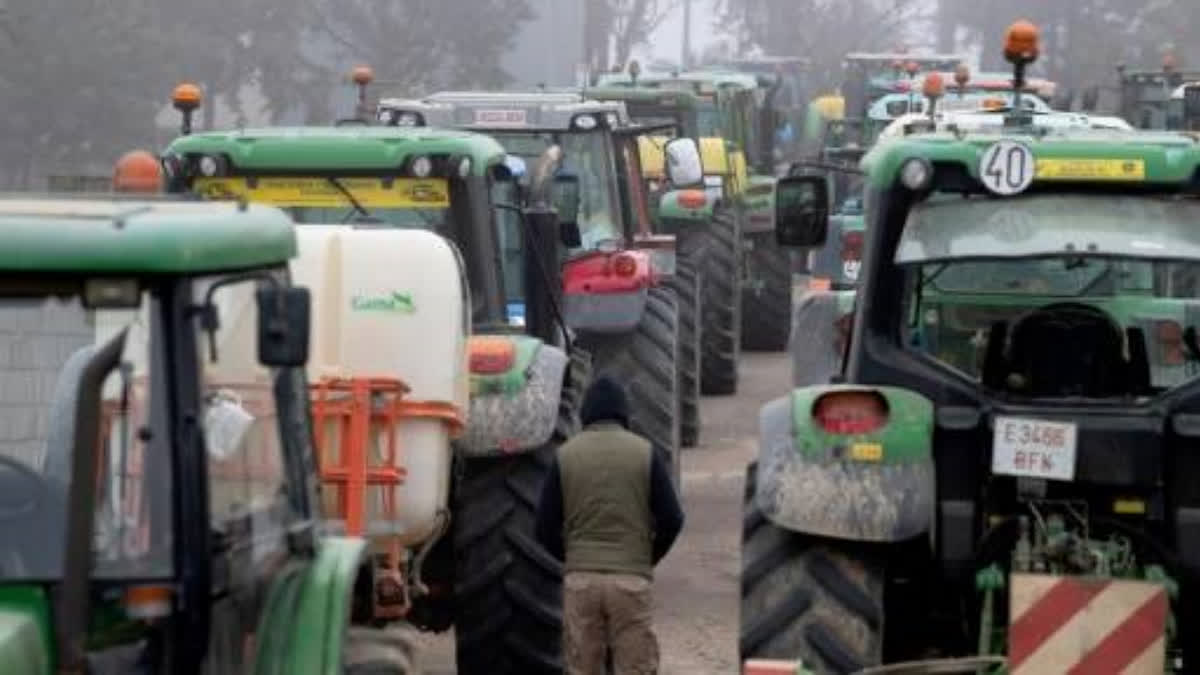 Tractors gather as olive trees owners demonstrate to save their plantations and against expropriation amid a project to install photovoltaic plants in Lopera, near Jaen, on March, 24, 2025.
