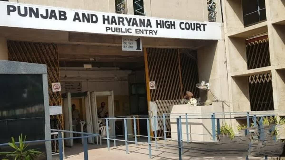 Accused of killing two sadhus in a camp in Panipat was acquitted by the Punjab and Haryana High Court after 22 years