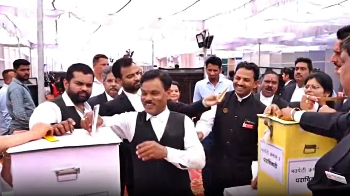 Indore Bar Association Results 2025