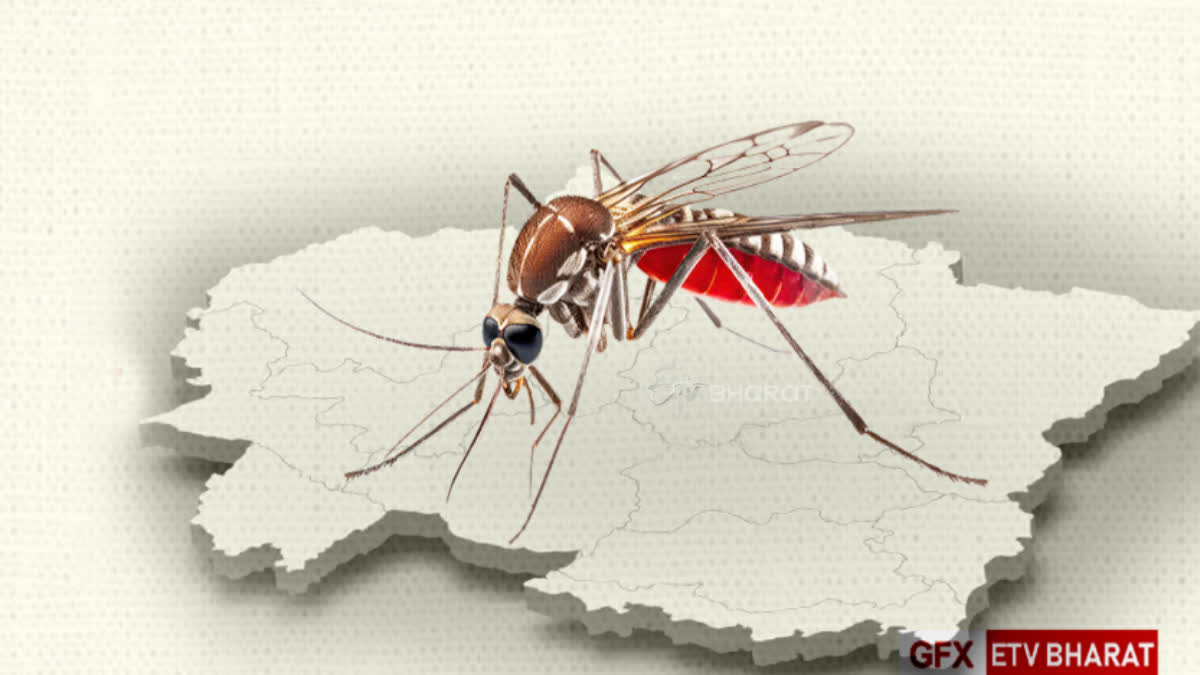 UTTARAKHAND DENGUE CASES