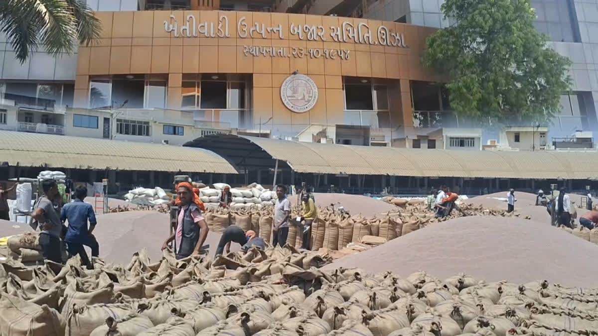 ઊંઝા માર્કેટ યાર્ડ હાલ મસાલા પાકોથી ઉભરાઈ રહ્યું છે