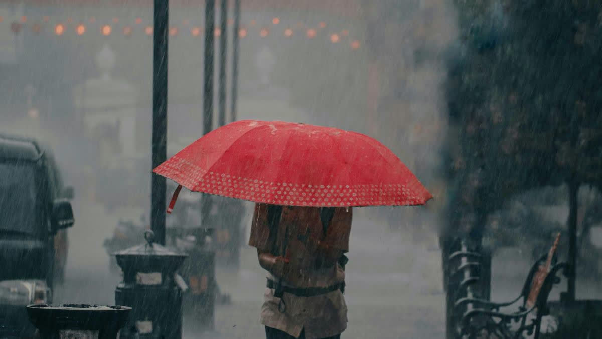 India To Experience Above-Normal Rainfall This Monsoon: IMD