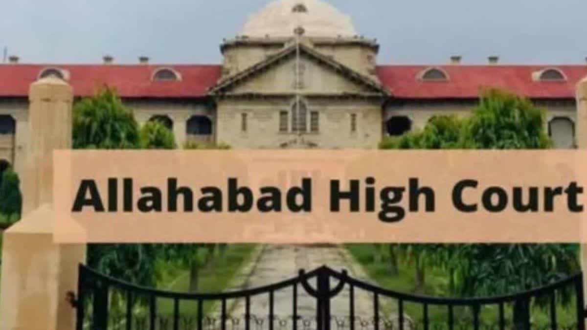 allahabad high court said that just by marrying willingly one does not get the right to demand protection, there should be a real threat.