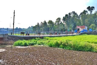 kottayam tourist village  Kariyam Water lily  kerala tourism  latest news malayalam